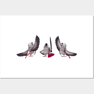 African Grey Parrot Posters and Art